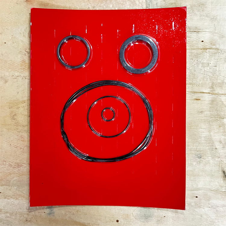 Putzmeister Motor Seal Kits Concrete Pump Seal Kit Repair Kits
